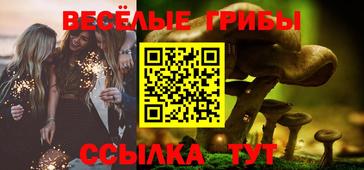 Галлюциногенные грибы мухоморы  Вход с VPN  наркотики  Зеленокумск 